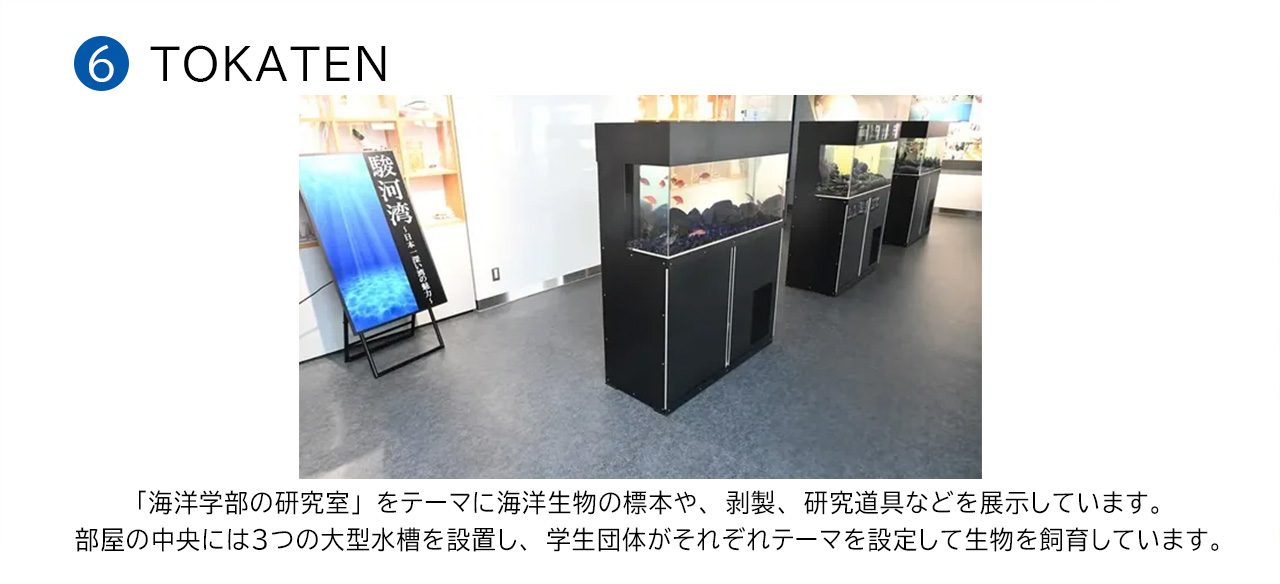 代替テキスト