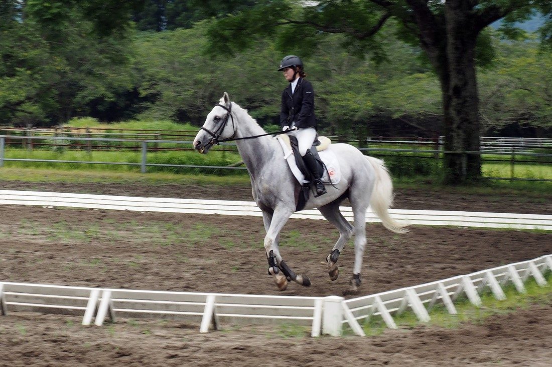 九州馬術部の三浦選手が全日本学生馬術女子選手権大会に出場します | キャンパスニュース | 東海大学 - Tokai University