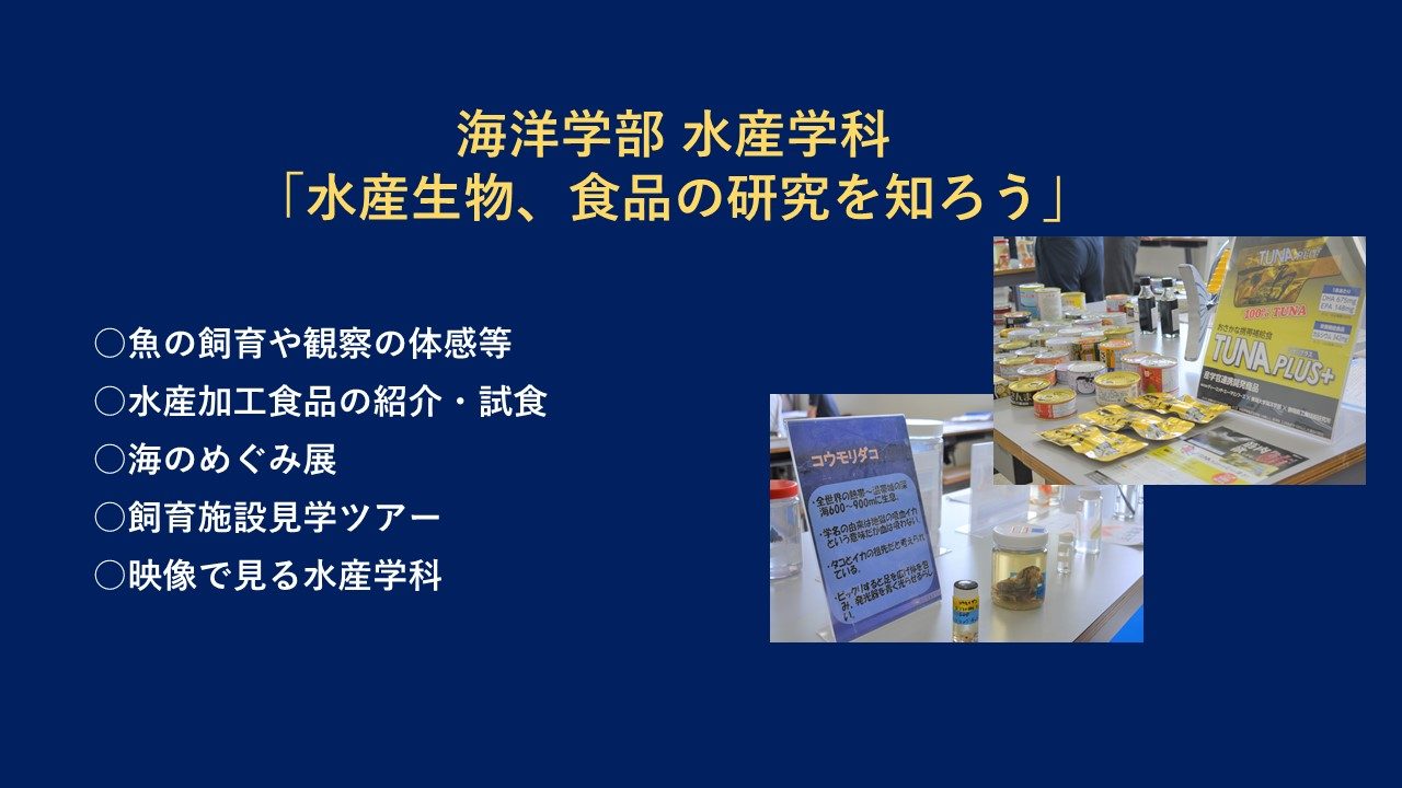 代替テキスト