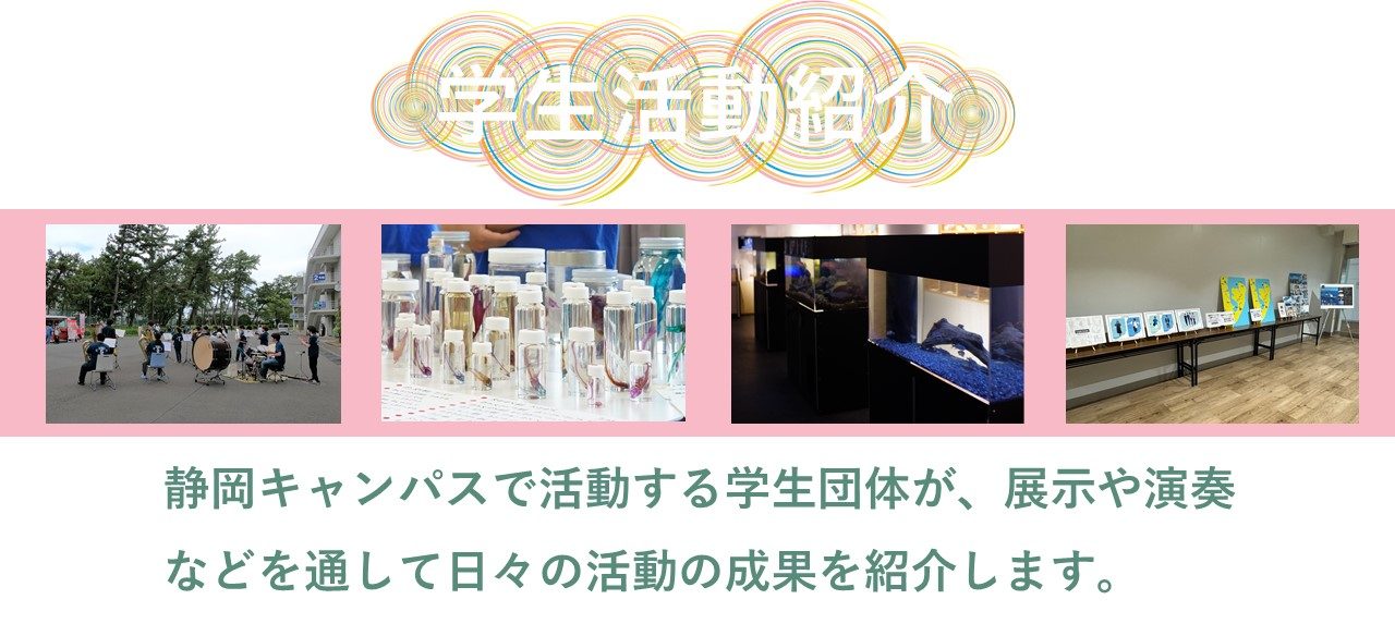 代替テキスト