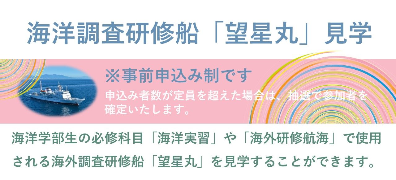 代替テキスト