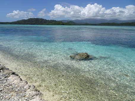 海外研修航海参加 (4)_341.jpg