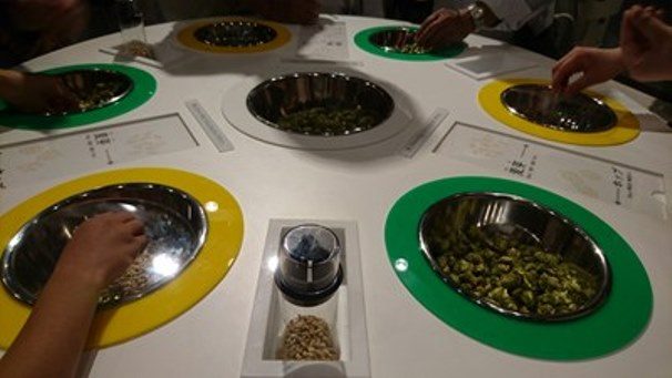 食品製造現場見学会 (2)_341.jpg