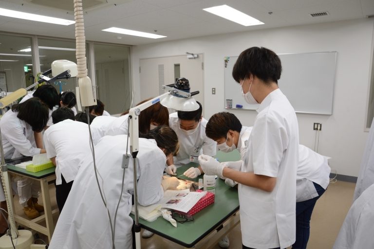 医用生体 (1)_525.jpg
