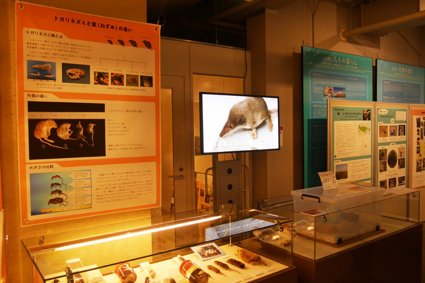 ハイパー東大生物　河合 ハイパー東大生物 河合 ハイパー演習東大理類コース | 関東 | 高卒生