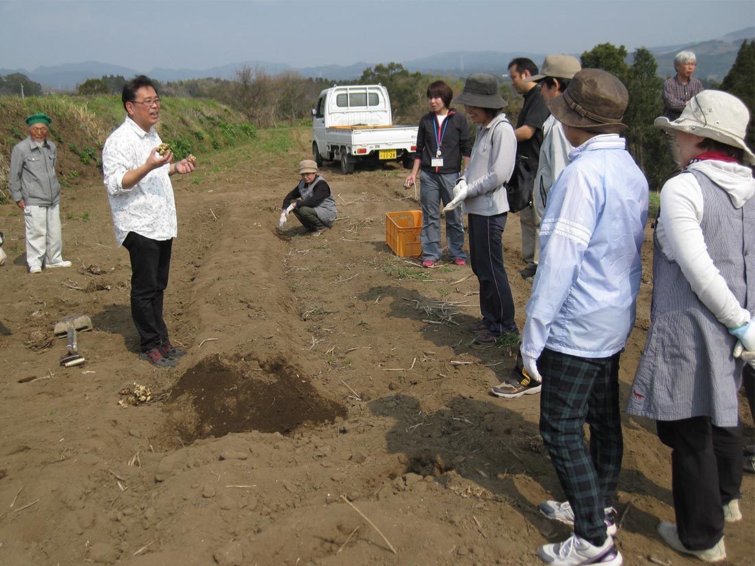 農ｈｐ報告「ヤーコン収穫ツアー」 (2).jpg