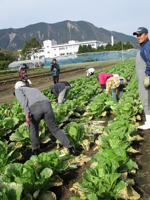 収穫イベント (4)_525.jpg