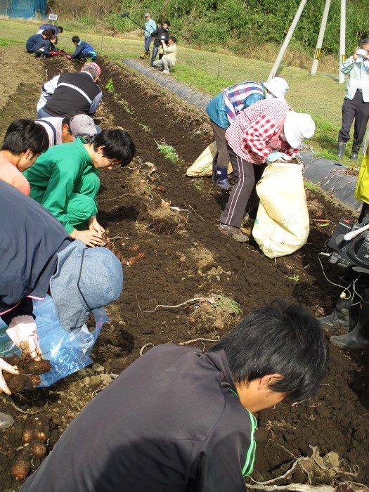 収穫イベント (5)_525.jpg