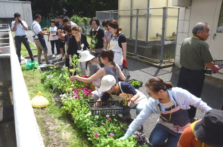 農学部基礎講座・花ハーブ (2)_525.jpg