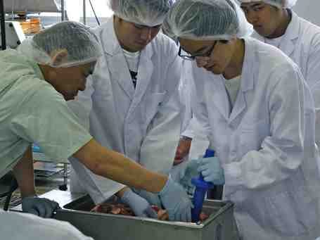 食品加工基礎実習1_341.jpg