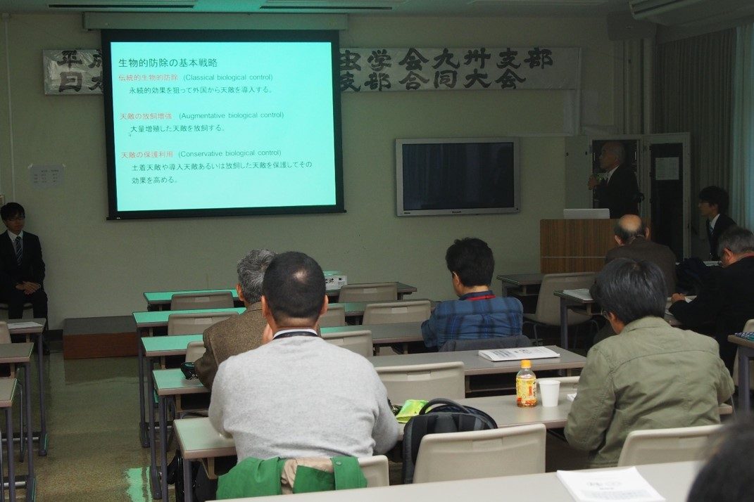 日本昆虫学会 (5).jpg