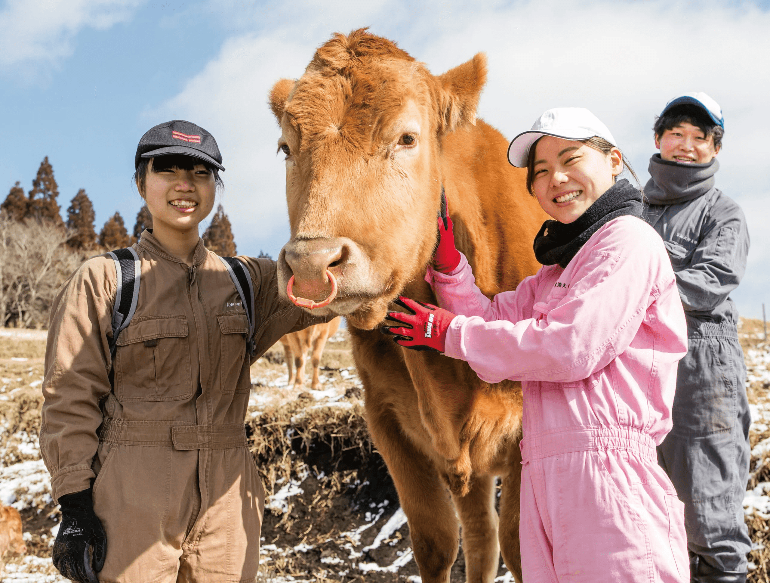 動物科学科 農学部 東海大学 Tokai University 動物科学科 農学部 東海大学 Tokai University