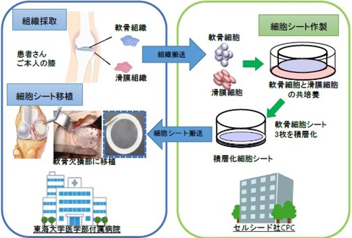 佐藤先生ｲﾗｽﾄ2.jpgのサムネイル画像のサムネイル画像