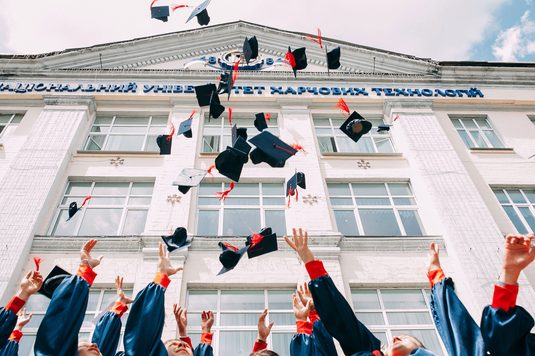 4年間の学びの流れ 6年次