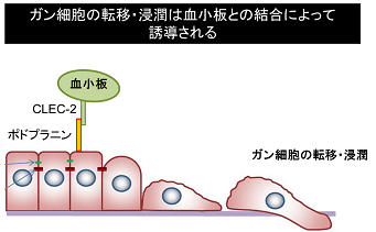 猪口先生・渡邊先生2_341.png