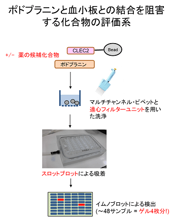 猪口先生・渡邊先生3_341.png