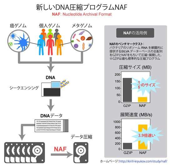 キリュコフ研究員サマリー_525.jpg