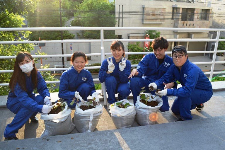 代々木苗植え①_525.jpg