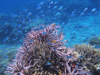 「エコツーリズム実習in西表島」を実施しました07.JPG