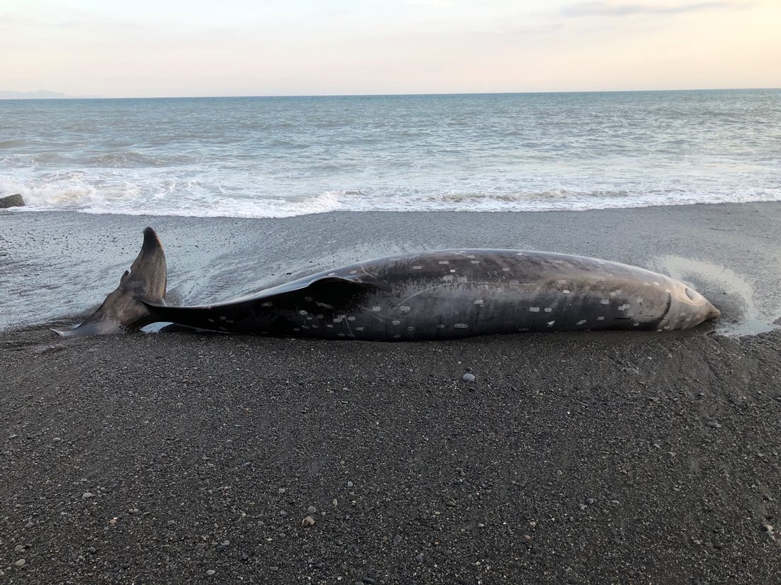 58f72eeec4f885e5333df33ab30ea6