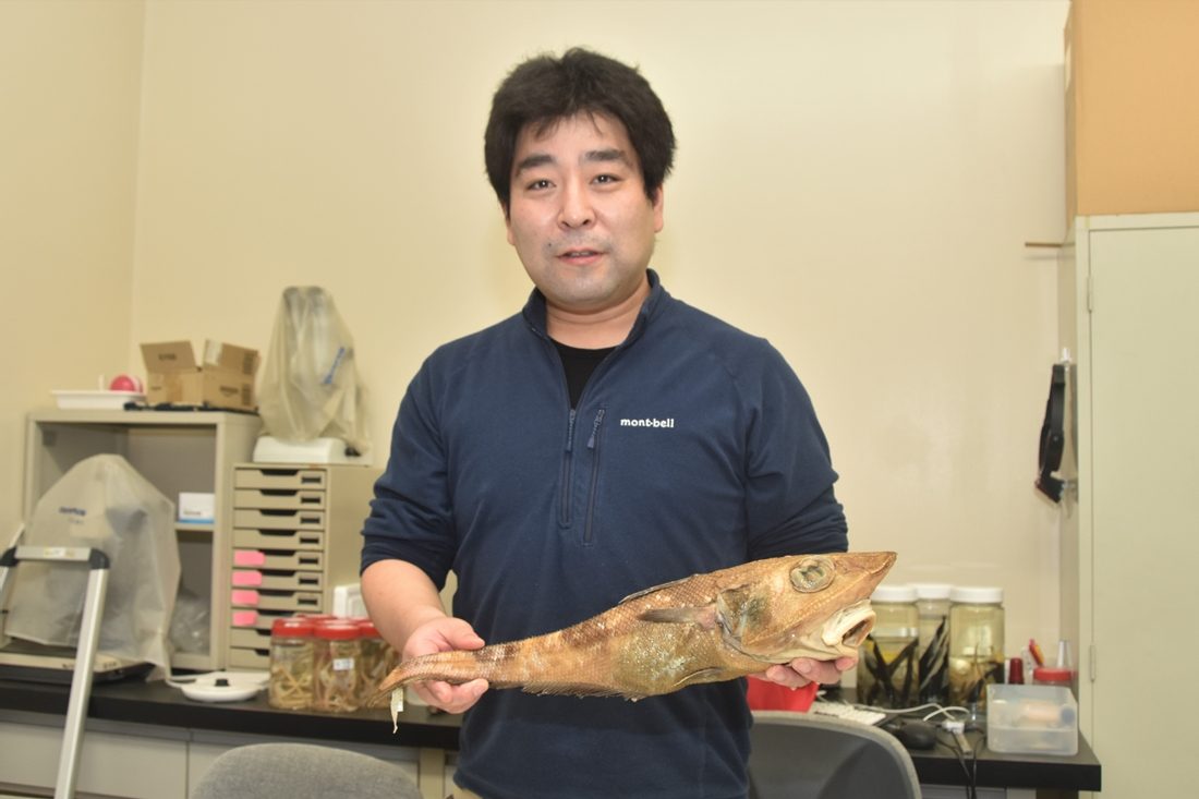 海洋生物学科の中山助教が深海魚ソコダラ類の日本周辺における多様性を解明しました ニュース 海洋学部 東海大学 Tokai University 海洋生物学科の中山助教が深海魚ソコダラ類の日本周辺における多様性を解明しました ニュース 海洋学部 東海大学 Tokai University