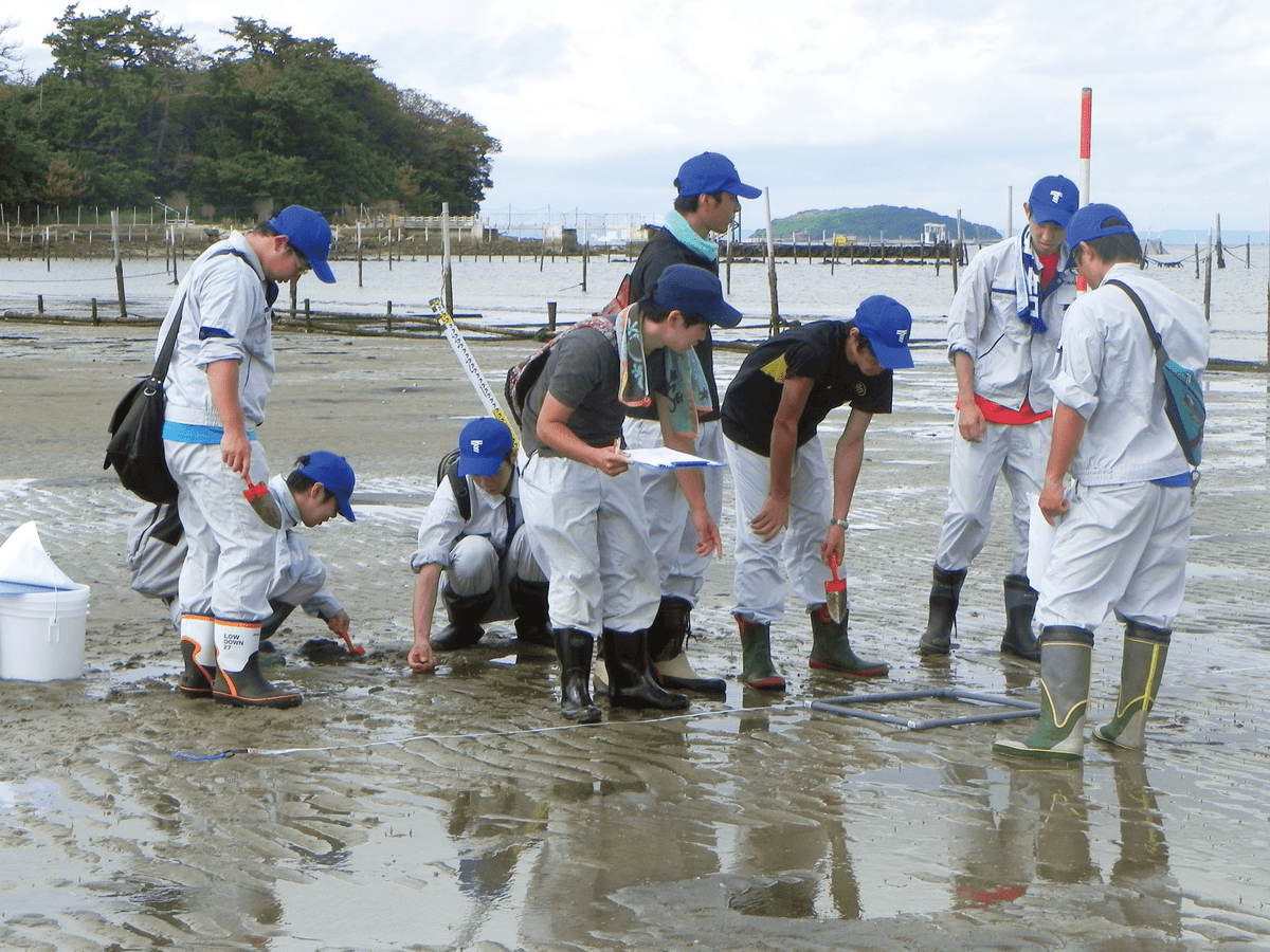 干潟、学生