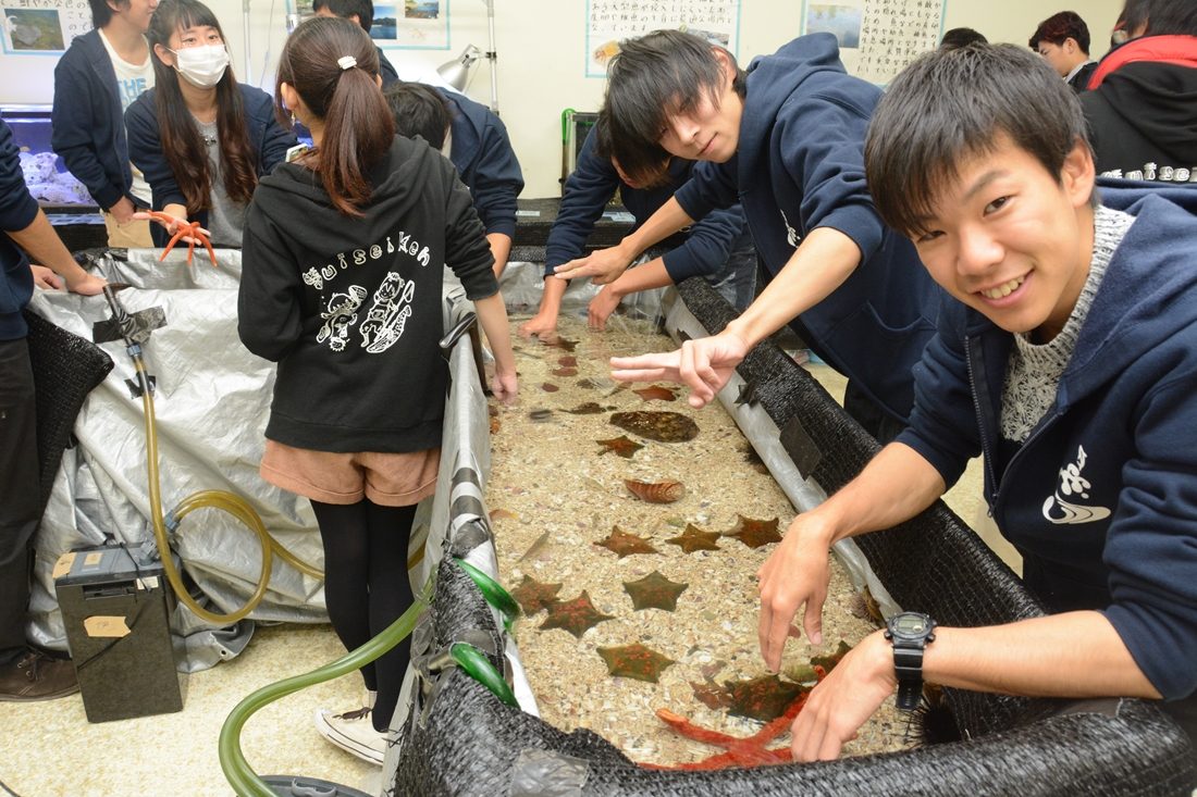 海ｈｐ報「海洋祭」03.jpg