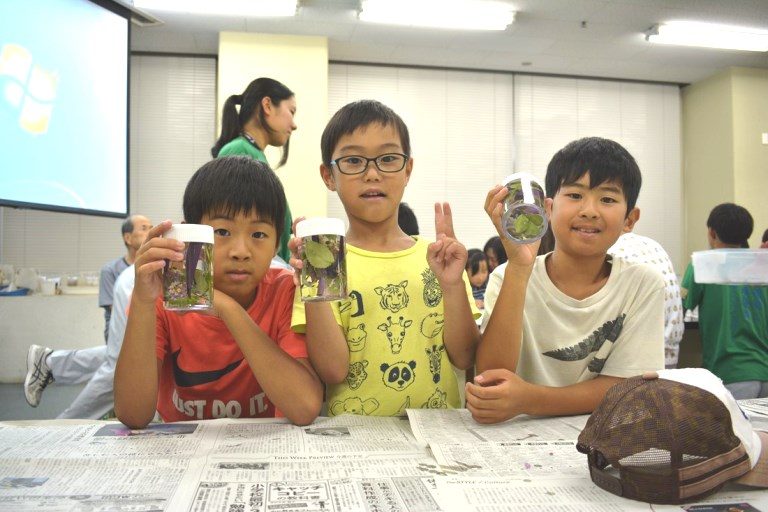 渚の植物観察会 (5)_　525.jpg