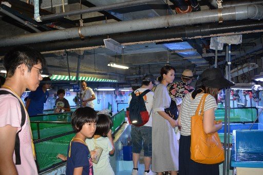 ガイドツアー (5)_　341.jpg