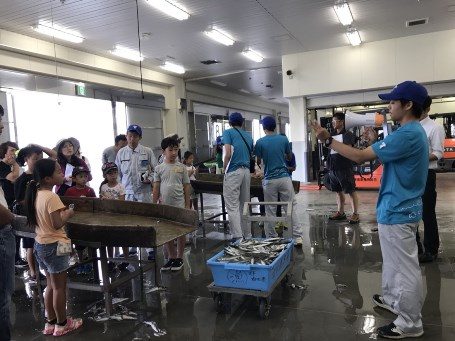 由比エコツアー (4)_341.jpg