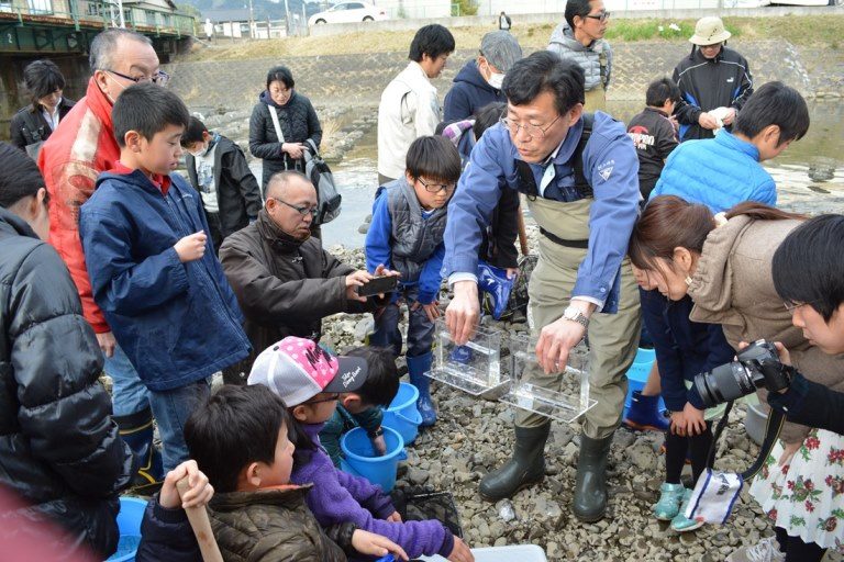 シラウオ観察会２_525.jpg