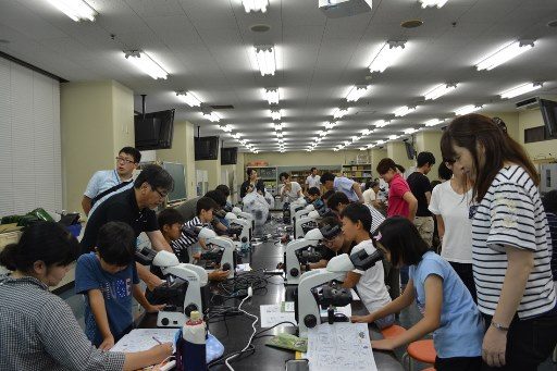 プランクトン観察会 (5)_341.jpg
