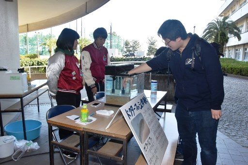 海洋祭 (2)_341.jpg