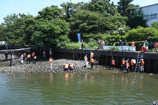 折戸湾環境創造プロジェクト (6)_341.jpg