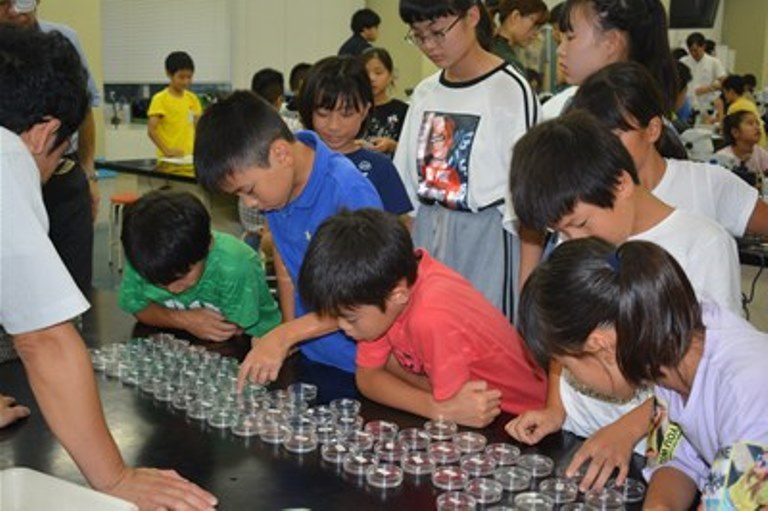 2019プランクトン観察会 (4)_525.jpg