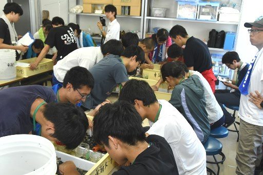 折戸湾環境創造プロジェクト (3)_341.jpg