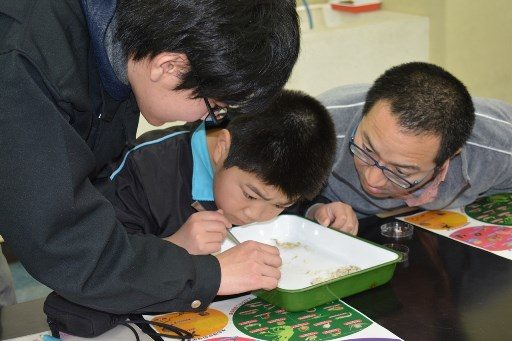 シロウオ観察会 (3)_341.jpg