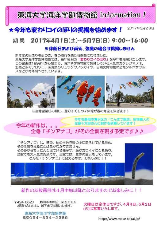 変わりこいのぼり2016GW【A3】_525.jpg