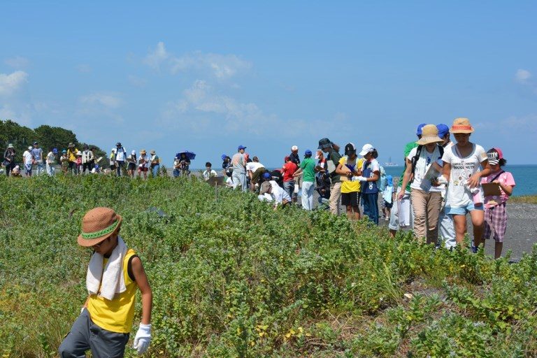 渚の植物観察会 (1)_　525.jpg