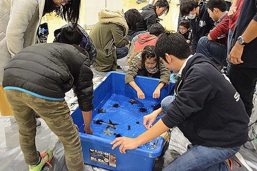 清水海洋展3.jpg_525.jpg