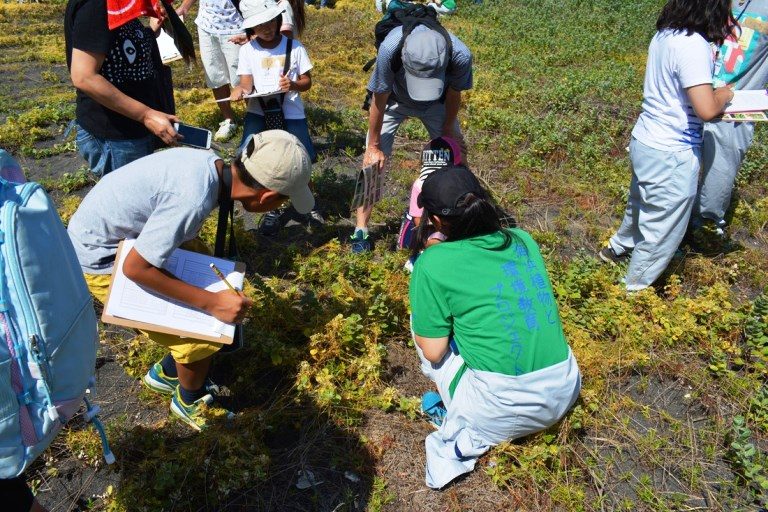 渚の植物観察会 (2)_　525.jpg