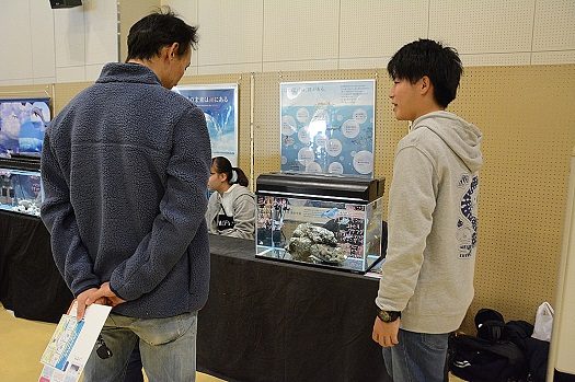 清水海洋展2.jpg_525.jpg