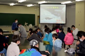 シロウオの観察会 341(3).jpg