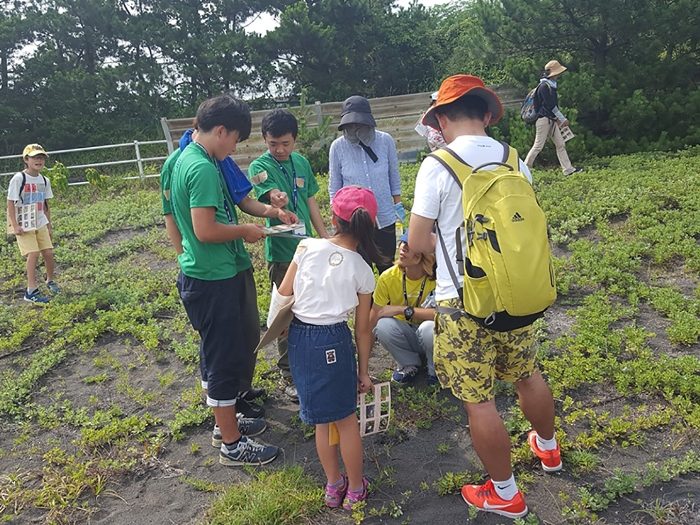 渚の植物観察会 (1)_525.jpg