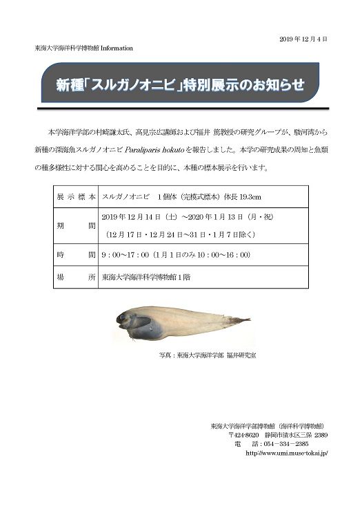20191204新種のスルガノオニビの展示（掲示用）525.jpg
