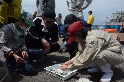 折戸湾プロジェクト５_341.jpg
