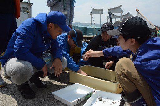 折戸湾プロジェクト６_341.jpg