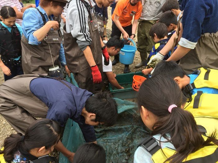 水棲研２_525.jpg