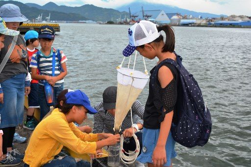 プランクトン観察会 (1)_ 341.jpg