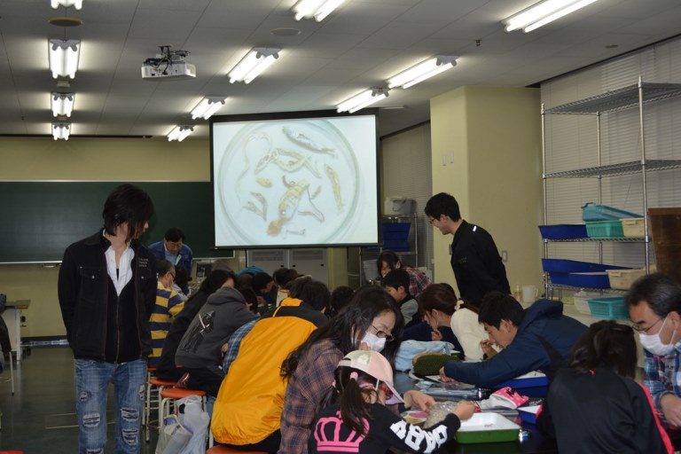 シラウオ観察会１_525.jpg